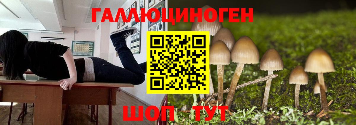 Псилоцибиновые грибы мицелий Чебаркуль